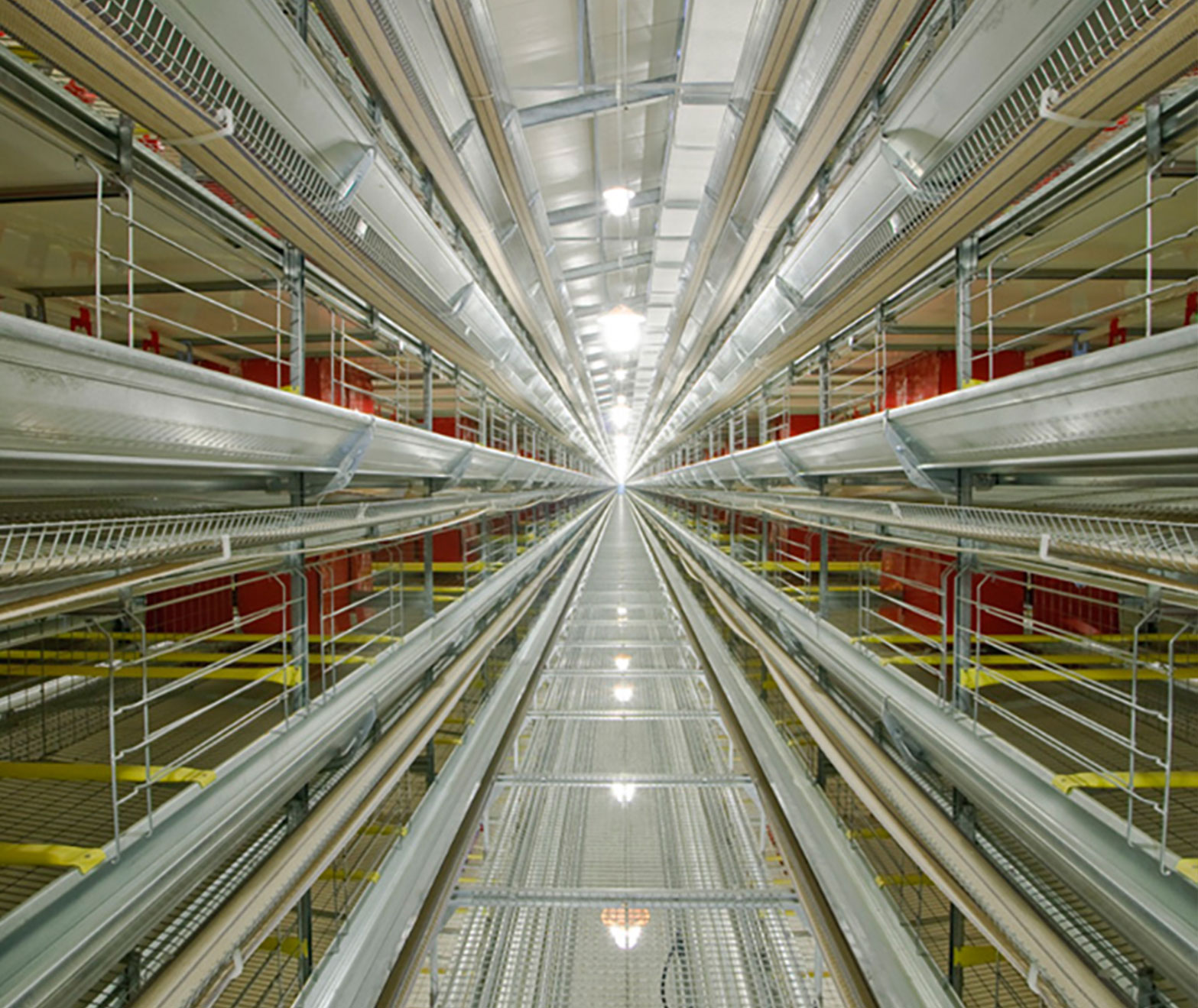 Tecnocontrol Automatización Avícola